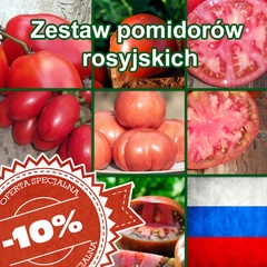 Zestaw Pomidory Rosyjskie