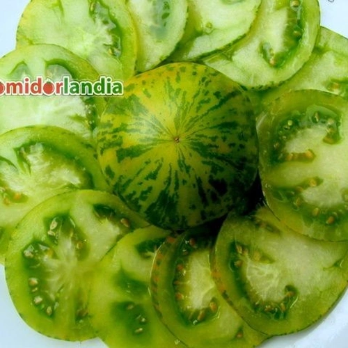 Green Zebra Heirloom