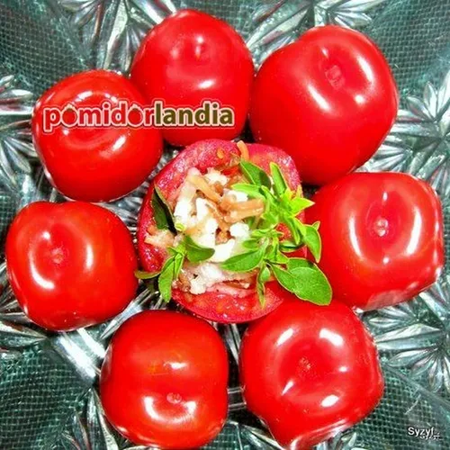 Raudoni, apvalūs ir maži veislės „Red Stuffer Cherry“ vaisiai stiklinėje lėkštėje. Vienas vaisius perpjautas, matyti šviesus minkštimas su sėklomis.