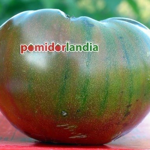 Ananas Noire