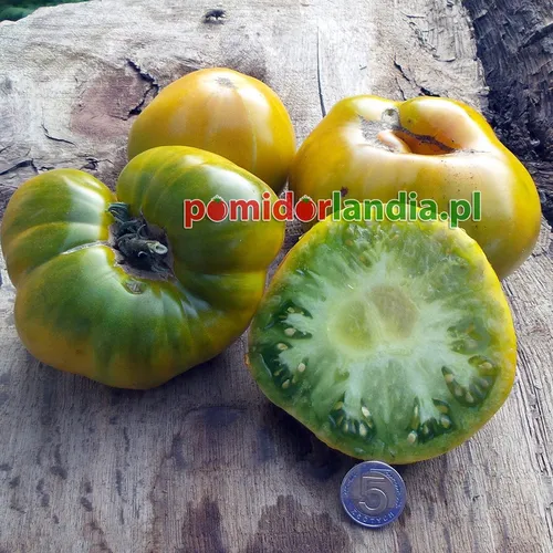 Zielone, żebrowane i spłaszczone owoce odmiany Emerald Apple na drewnianych deskach. Jeden owoc jest przekrojony, ukazując jasny, zielony miąższ.