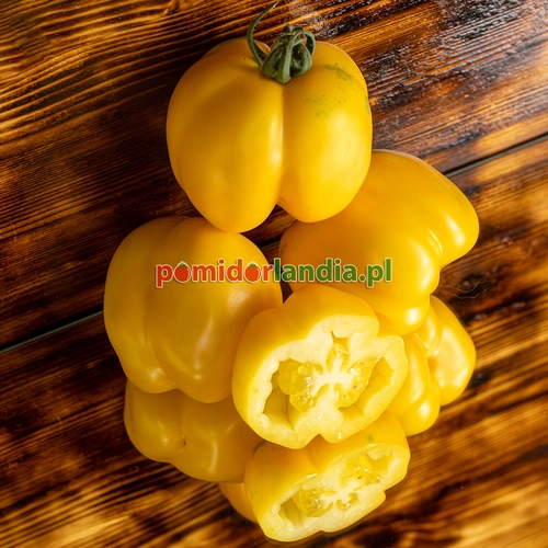Yellow Stuffer