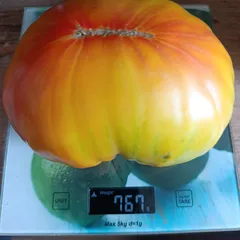 Hillybilly – Karolina Pagacz, 767 g