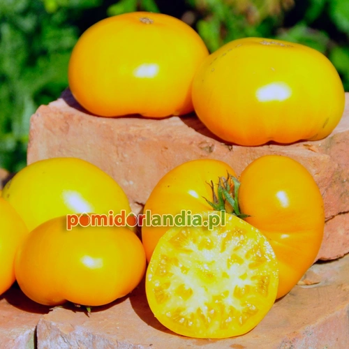 Limmony Heirloom