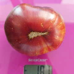 Indigo Red Beauty – Iwona Boczkowska, 181 g