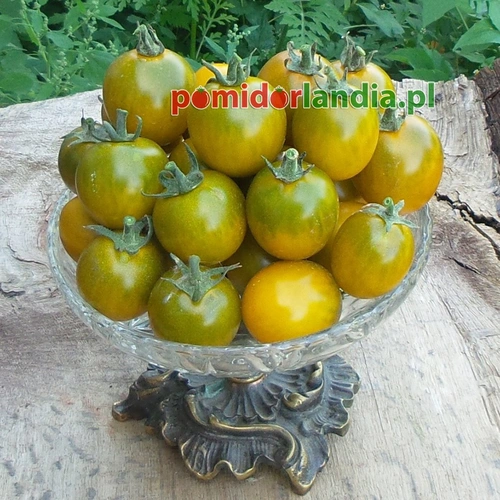 Green Grape Cherry