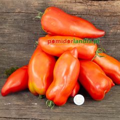 Pittman Valley Plum