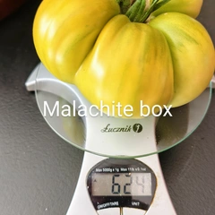 Malachite Box – Bronisław Zdrojewski, 624 g