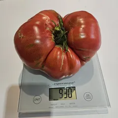 Brandywine – Magdalena Pydych, 930 g