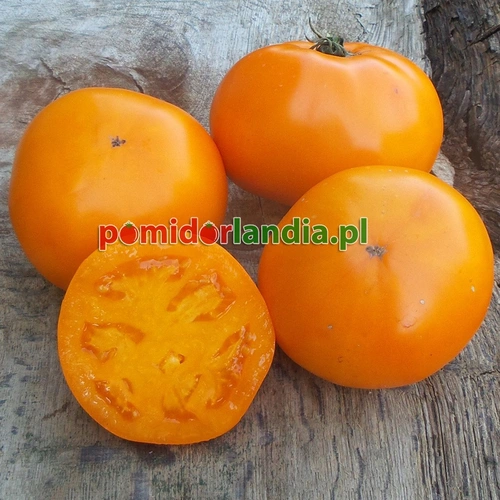 Tangerine