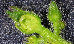 Biuletyn #3 2022