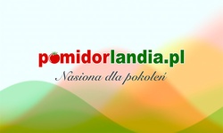 Wykład: Naturalne nasiona
