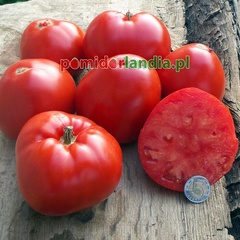 Italian Heirloom