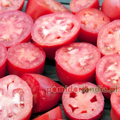 Różowe, przekrojone i kuliste owoce odmiany Kalman’s Hungarian Pink. Owoce mają jasnoróżowy miąższ.