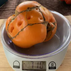 Amana Orange – Emilia Apalewicz, 710 g