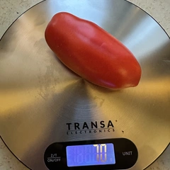 San Marzano Heirloom – Paulina Jurgiewicz, 70 g