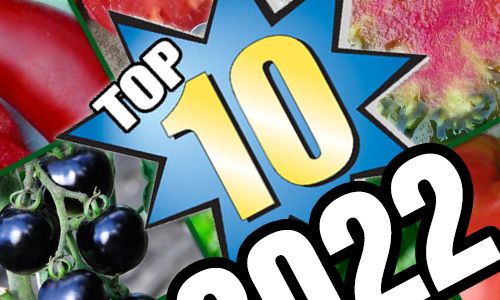 Top 10 odmian 2022