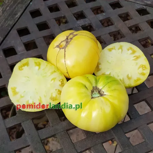 Żółte, spłaszczone i żebrowane owoce odmiany Dwarf Sweet Sue na ciemnej kratce. Dwa owoce są przekrojone, ukazując jasny miąższ.