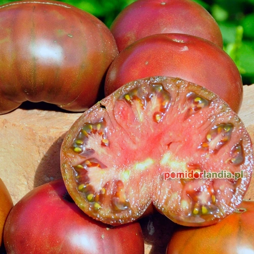 Cherokee Purple