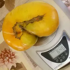 German Orange Strawberry – Anna Matysek, 646 g