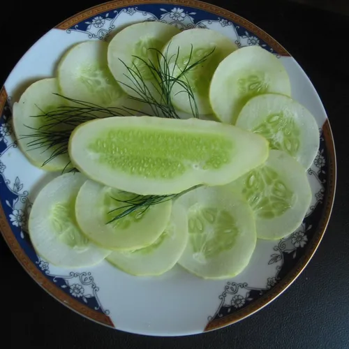 Ogórek Poona Kheera