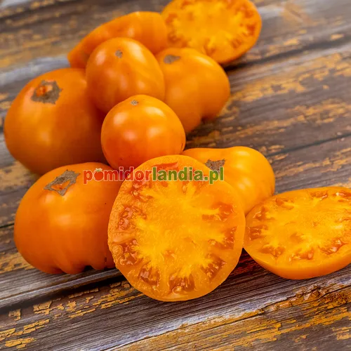 Pomarańczowe, spłaszczone i żebrowane owoce odmiany Summer Cider na drewnianych deskach. Jeden z owoców jest przekrojony, ukazując pomarańczowy miąższ.