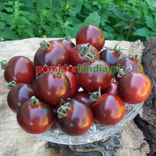 Bing Cherry