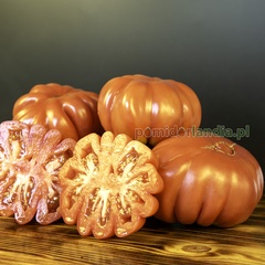Mushroom Basket