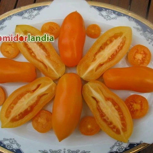 Orange Banana