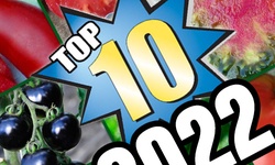 Top 10 odmian 2022