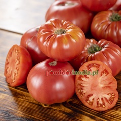 Rose Heirloom