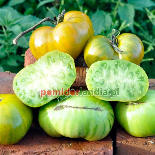 Aunt Ruby's German Green