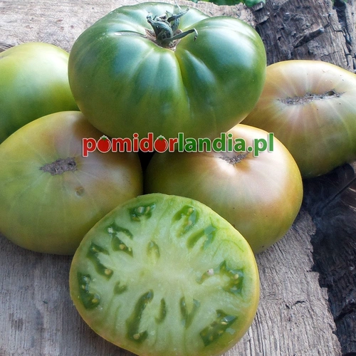Aunt Ruby's German Green