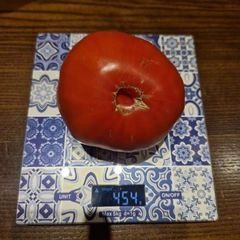 Red Penna – DOMINIKA WOJTAS, 454 g