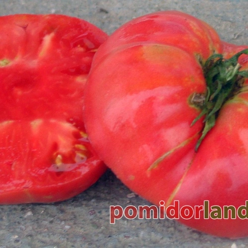Watermelon Beefsteak