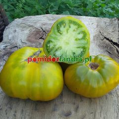 Grub’s Mystery Green