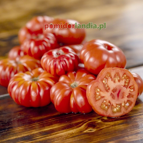 Costoluto Genovese