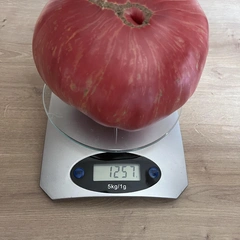 Pink Jazz – Marek Grono, 1255 g