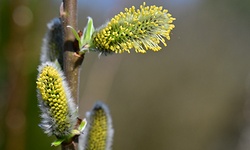 Biuletyn #4 2023