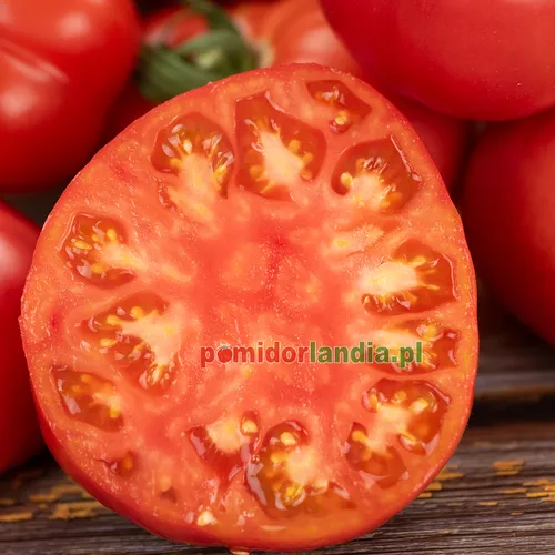 A cut in half, round Katja Heirloom tomato in pink color with orange flesh.