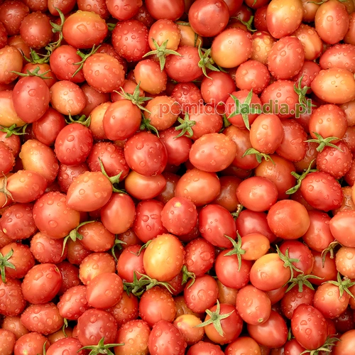 Thai Pink Eggs