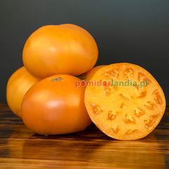 Amana Orange