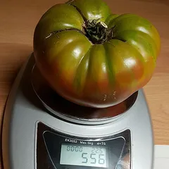 Ananas Noire – Dominik Rzewuski, 556 g