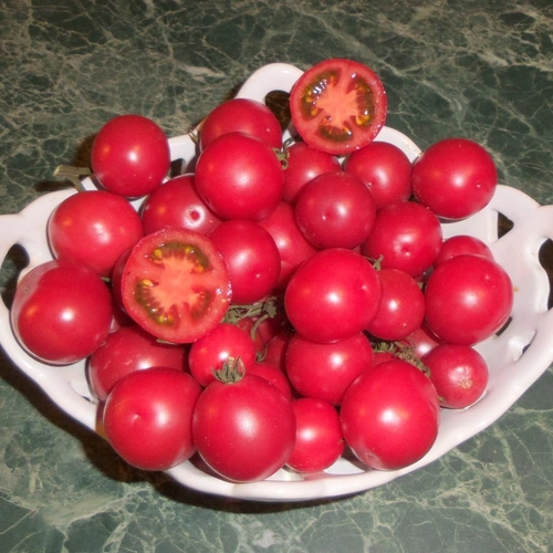 Brandywine Cherry