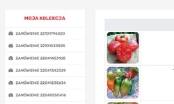 Moja kolekcja