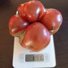 Brandywine Black – Joanna Ważny, 893 g