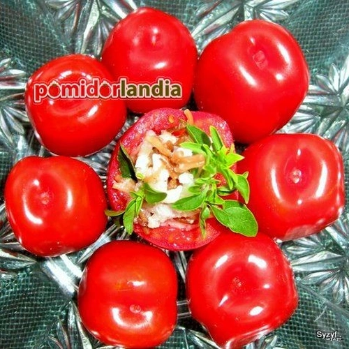 Red Stuffer Cherry