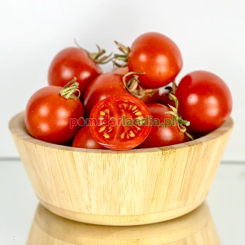 42 Day Tomato