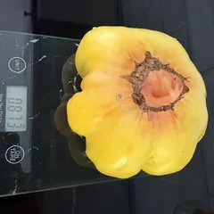 Hazel Mae – Bożena Piasecka, 873 g