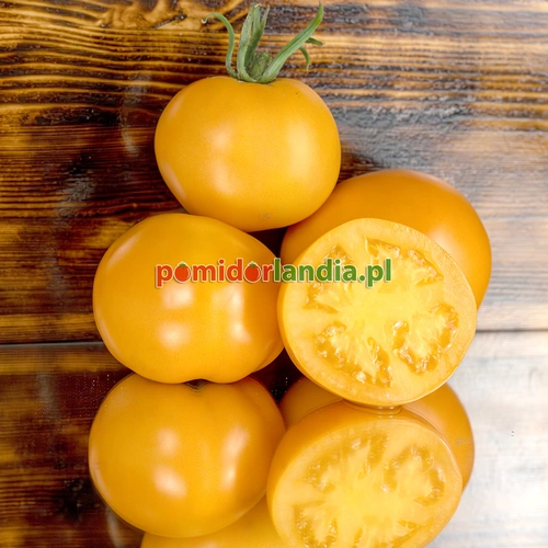 Persimmon